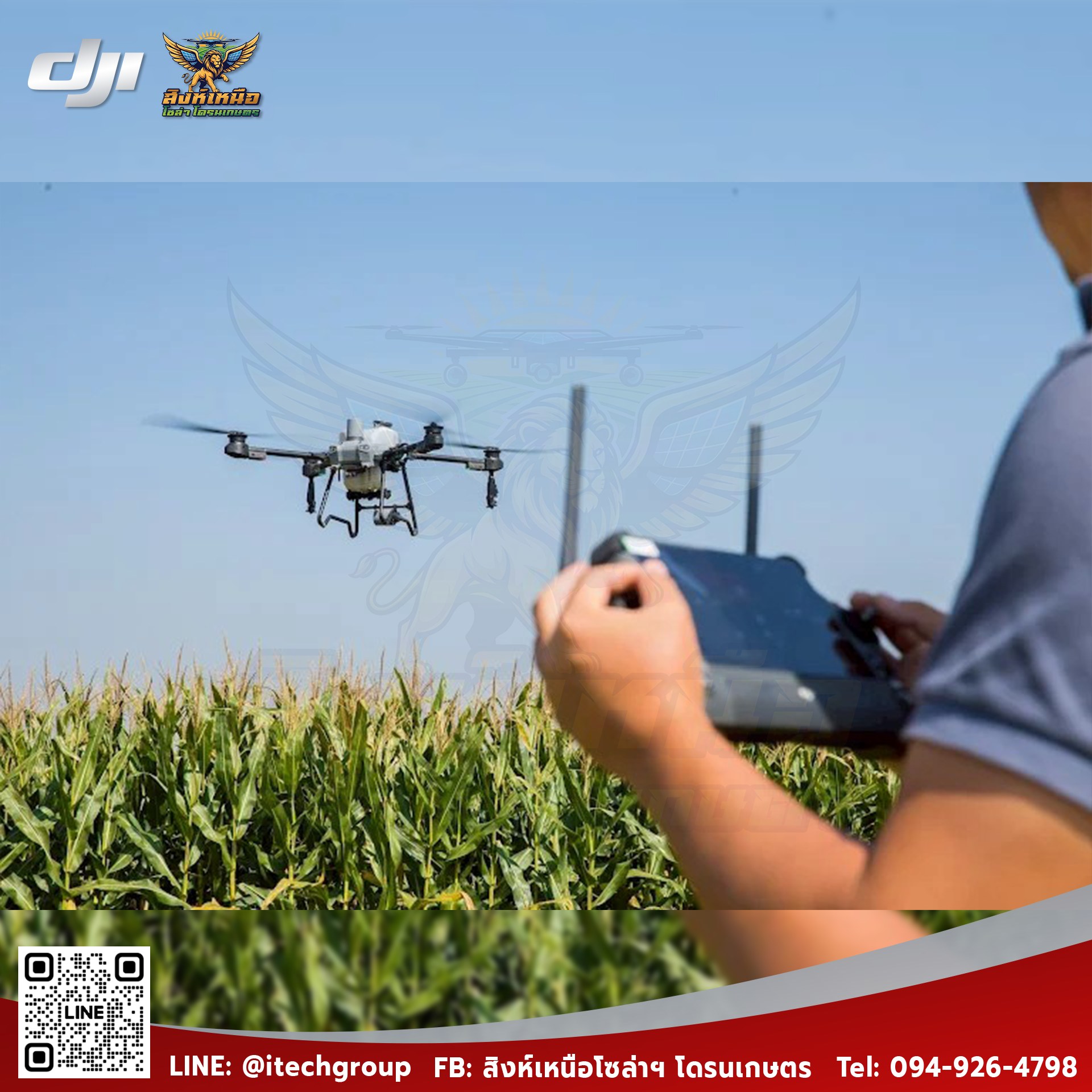 519581968 122126564612861277 2239942576573439242 N