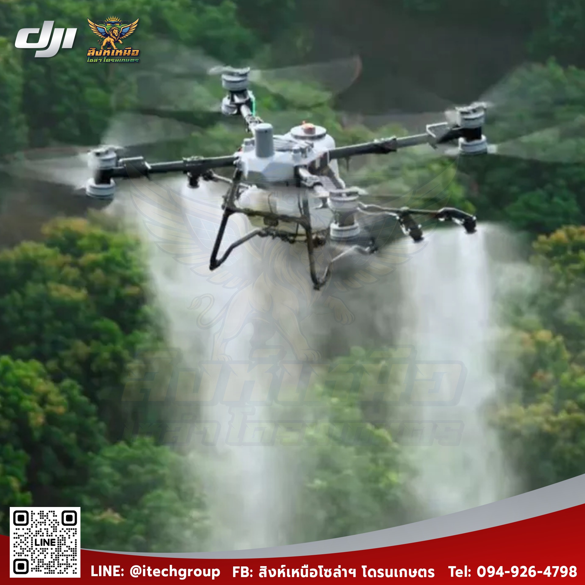 520204953 122126514248861277 6915288116240355562 N